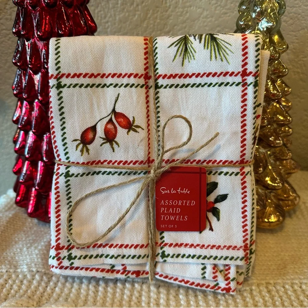 Sur La Table Plaid Towel Set